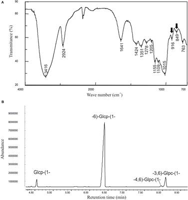 Different Modes of Regulation of the Expression of Dextransucrase in Leuconostoc lactis AV1n and Lactobacillus sakei MN1